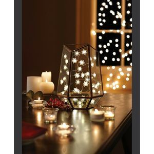 Studio Mercantile String Lights LED Micro Snowflakes 10ft